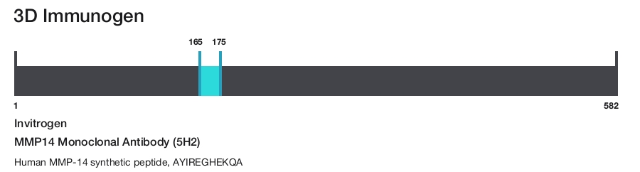 MMP14 Monoclonal Antibody (5H2)