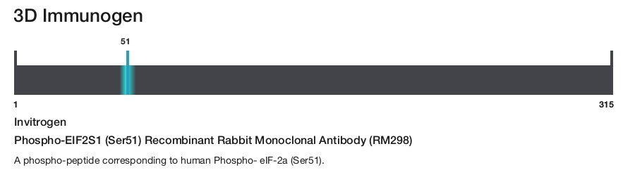 Phospho-EIF2S1 (Ser51) Recombinant Rabbit Monoclonal Antibody (RM298)