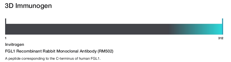 FGL1 Recombinant Rabbit Monoclonal Antibody (RM502)