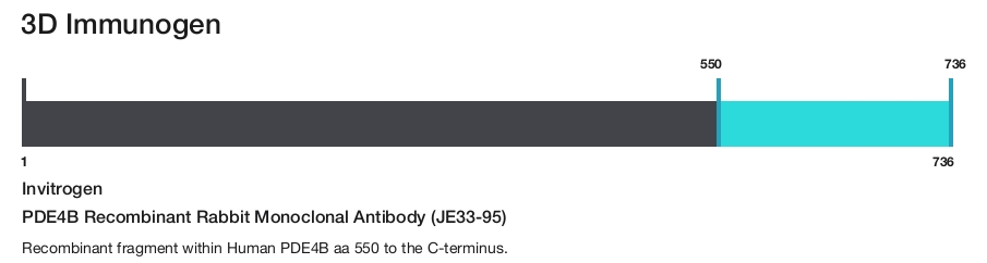 PDE4B Recombinant Rabbit Monoclonal Antibody (JE33-95)