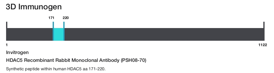 HDAC5 Recombinant Rabbit Monoclonal Antibody (PSH08-70)