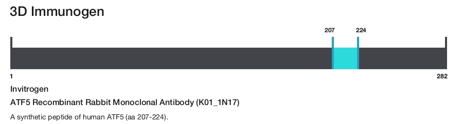 ATF5 Recombinant Rabbit Monoclonal Antibody (K01_1N17)
