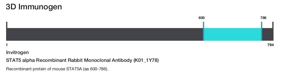STAT5 alpha Recombinant Rabbit Monoclonal Antibody (K01_1Y78)