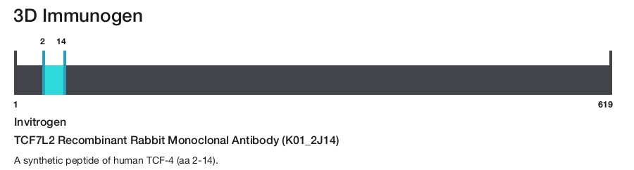 TCF7L2 Recombinant Rabbit Monoclonal Antibody (K01_2J14)