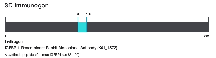 IGFBP-1 Recombinant Rabbit Monoclonal Antibody (K01_1S72)