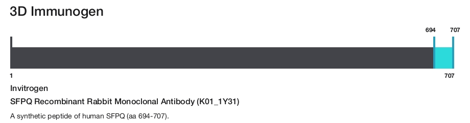 SFPQ Recombinant Rabbit Monoclonal Antibody (K01_1Y31)