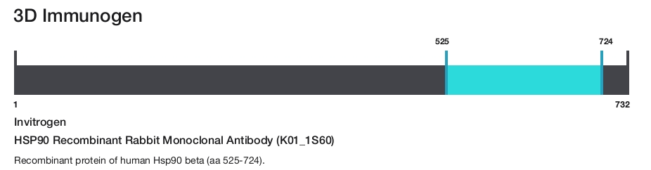 HSP90 Recombinant Rabbit Monoclonal Antibody (K01_1S60)