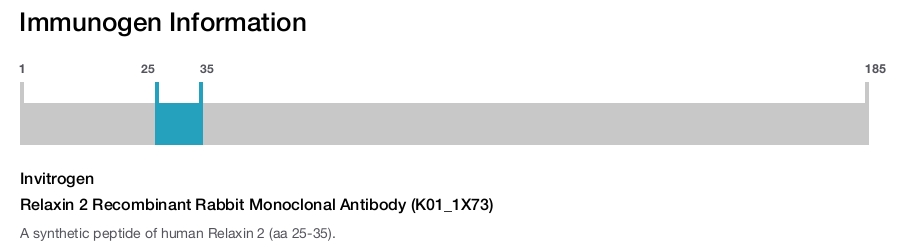 Relaxin 2 Recombinant Rabbit Monoclonal Antibody (K01_1X73)