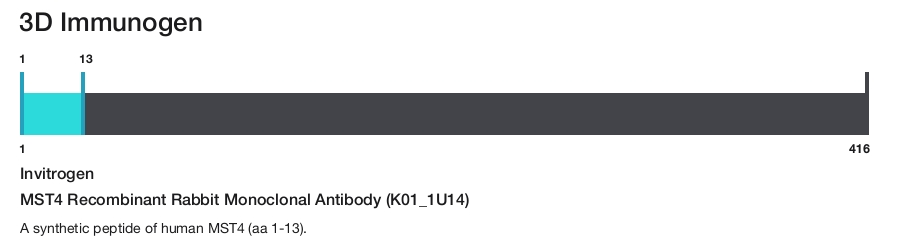 MST4 Recombinant Rabbit Monoclonal Antibody (K01_1U14)
