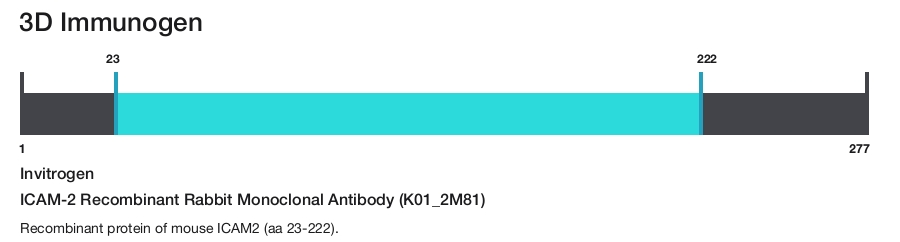 ICAM-2 Recombinant Rabbit Monoclonal Antibody (K01_2M81)