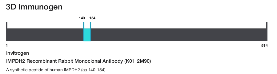 IMPDH2 Recombinant Rabbit Monoclonal Antibody (K01_2M90)