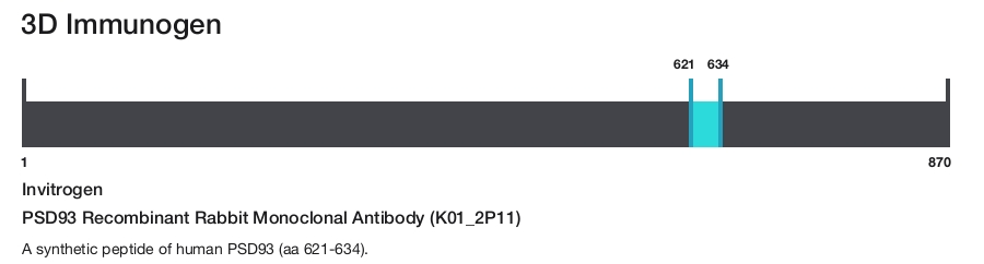 PSD93 Recombinant Rabbit Monoclonal Antibody (K01_2P11)