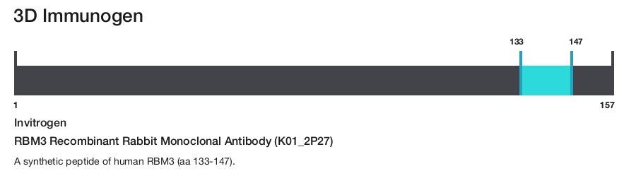 RBM3 Recombinant Rabbit Monoclonal Antibody (K01_2P27)