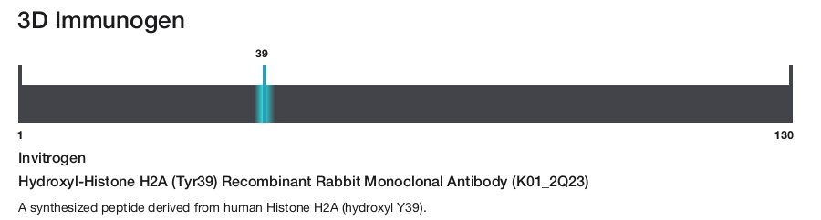 Hydroxyl-Histone H2A (Tyr39) Recombinant Rabbit Monoclonal Antibody (K01_2Q23)