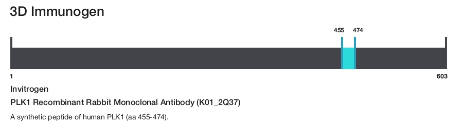 PLK1 Recombinant Rabbit Monoclonal Antibody (K01_2Q37)