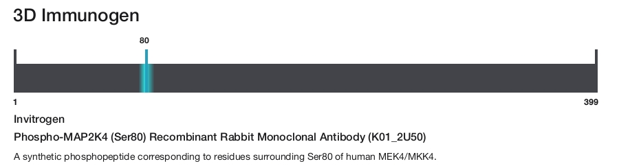 Phospho-MAP2K4 (Ser80) Recombinant Rabbit Monoclonal Antibody (K01_2U50)