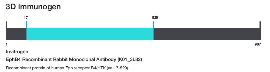 EphB4 Recombinant Rabbit Monoclonal Antibody (K01_3L82)