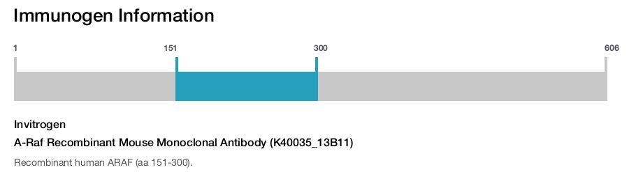 A-Raf Recombinant Mouse Monoclonal Antibody (K40035_13B11)