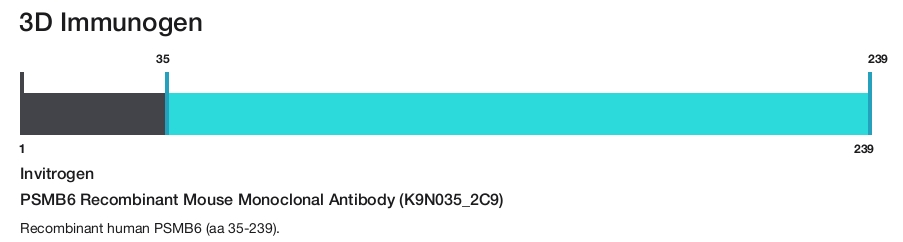 PSMB6 Recombinant Mouse Monoclonal Antibody (K9N035_2C9)