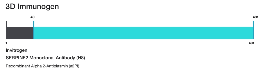 SERPINF2 Monoclonal Antibody (H8)