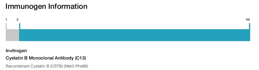 Cystatin B Monoclonal Antibody (C13)