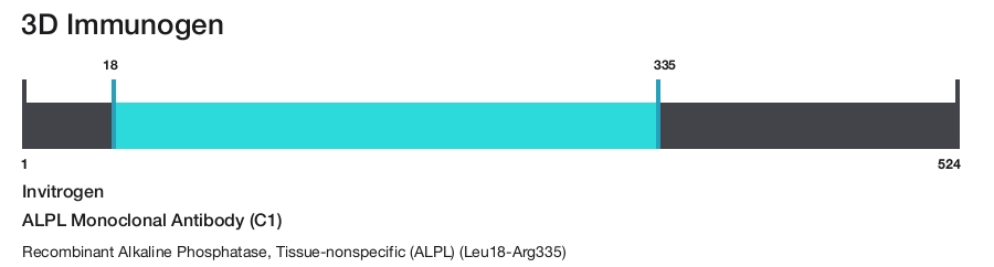 ALPL Monoclonal Antibody (C1)