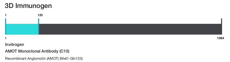 AMOT Monoclonal Antibody (C10)