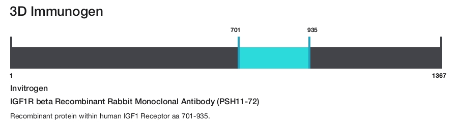 IGF1R beta Recombinant Rabbit Monoclonal Antibody (PSH11-72)