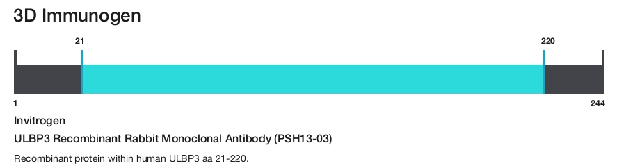 ULBP3 Recombinant Rabbit Monoclonal Antibody (PSH13-03)