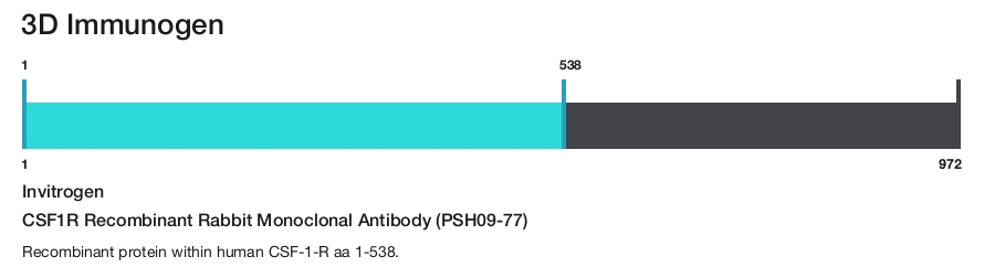 CSF1R Recombinant Rabbit Monoclonal Antibody (PSH09-77)
