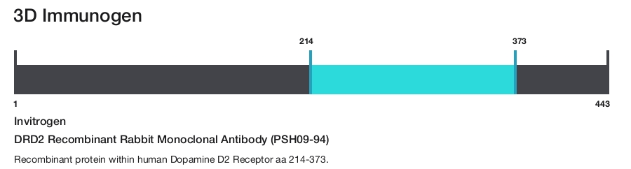DRD2 Recombinant Rabbit Monoclonal Antibody (PSH09-94)