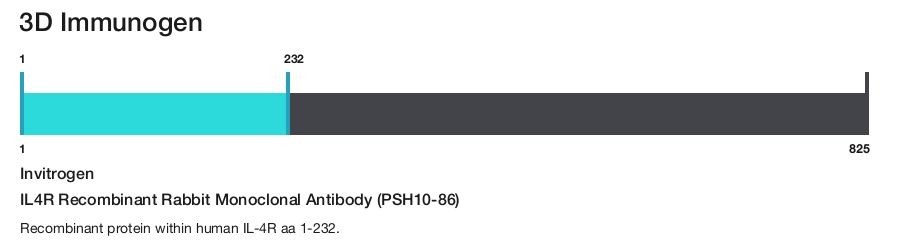 IL4R Recombinant Rabbit Monoclonal Antibody (PSH10-86)