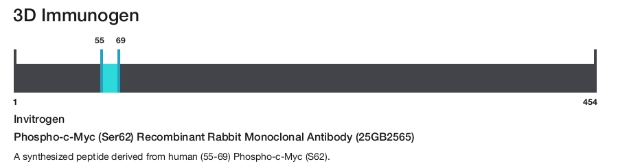 Phospho-c-Myc (Ser62) Recombinant Rabbit Monoclonal Antibody (25GB2565)