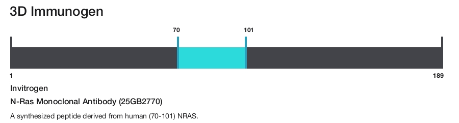 N-Ras Monoclonal Antibody (25GB2770)