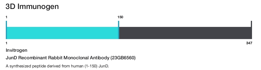 JunD Recombinant Rabbit Monoclonal Antibody (23GB6560)