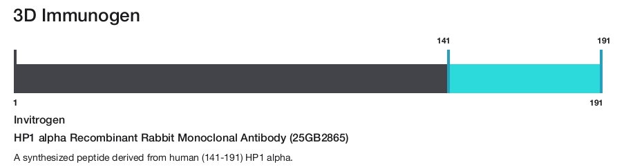 HP1 alpha Recombinant Rabbit Monoclonal Antibody (25GB2865)