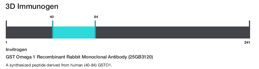 GST Omega 1 Recombinant Rabbit Monoclonal Antibody (25GB3120)