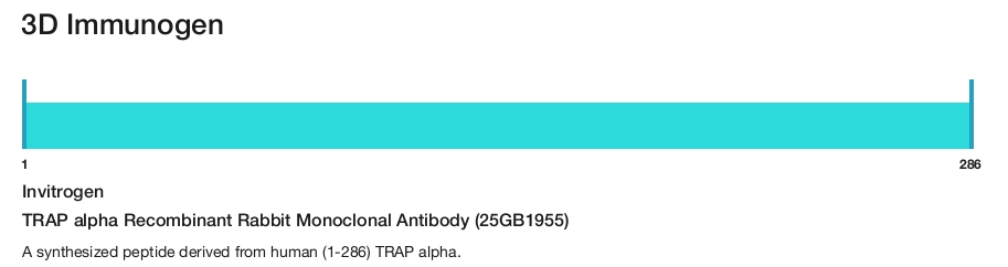 TRAP alpha Recombinant Rabbit Monoclonal Antibody (25GB1955)
