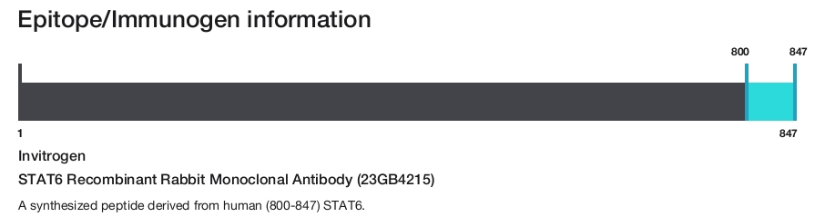 STAT6 Recombinant Rabbit Monoclonal Antibody (23GB4215)