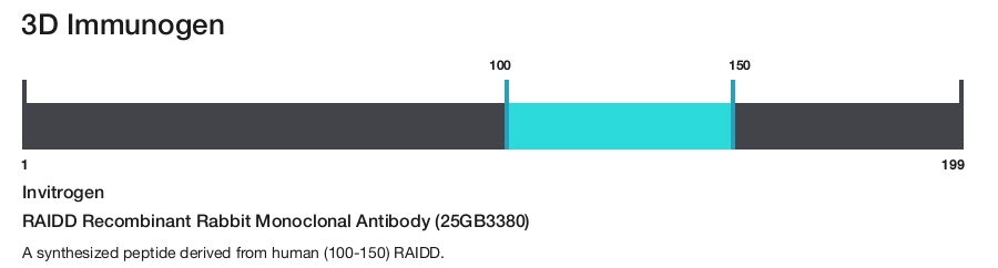 RAIDD Recombinant Rabbit Monoclonal Antibody (25GB3380)