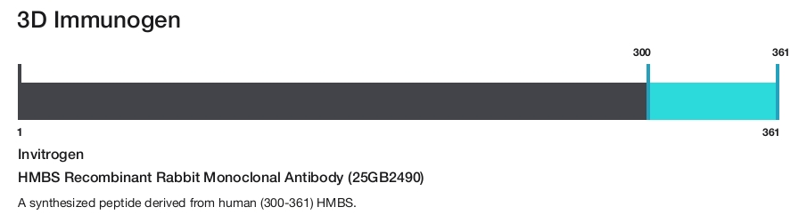 HMBS Recombinant Rabbit Monoclonal Antibody (25GB2490)