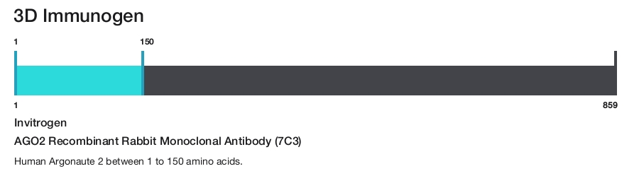 AGO2 Recombinant Rabbit Monoclonal Antibody (7C3)