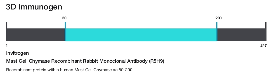 Mast Cell Chymase Recombinant Rabbit Monoclonal Antibody (R5H9)