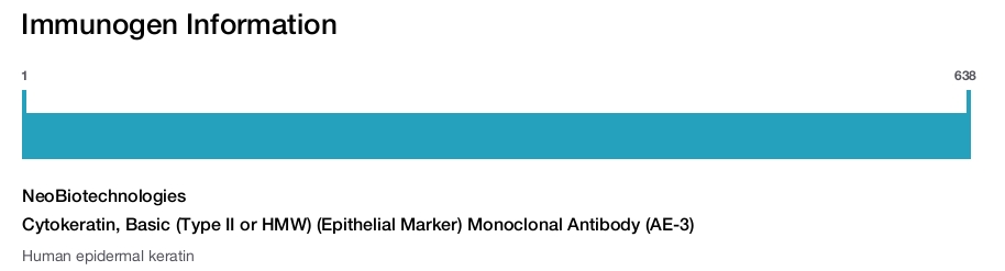 Cytokeratin, Basic (Type II or HMW) (Epithelial Marker) Monoclonal Antibody (AE-3)