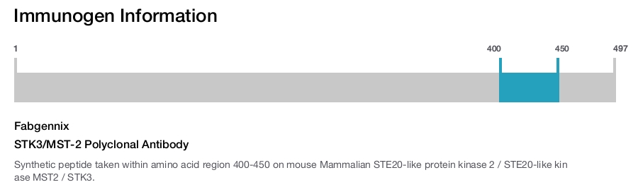 STK3/MST-2 Polyclonal Antibody