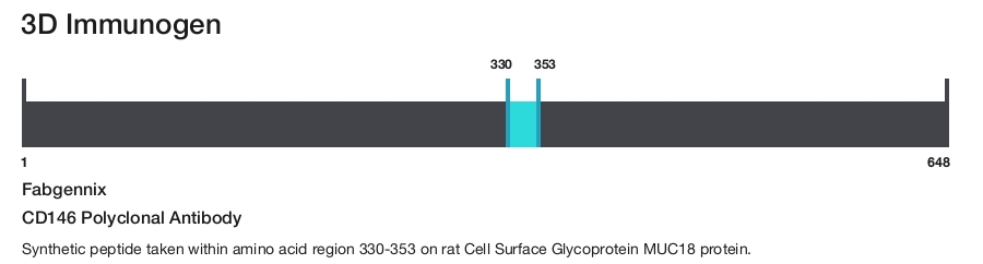 CD146 Polyclonal Antibody