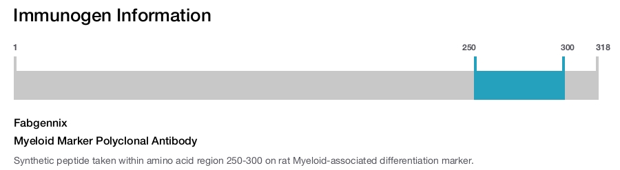 Myeloid Marker Polyclonal Antibody