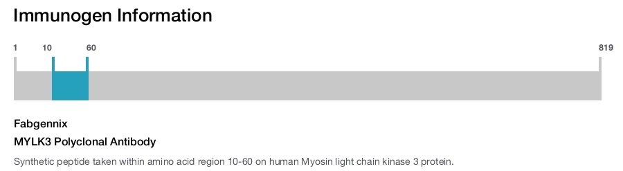 MYLK3 Polyclonal Antibody