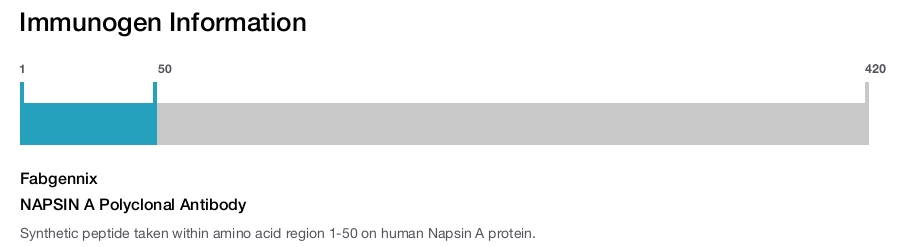 NAPSIN A Polyclonal Antibody