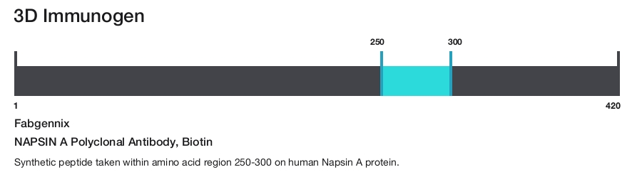 NAPSIN A Polyclonal Antibody, Biotin